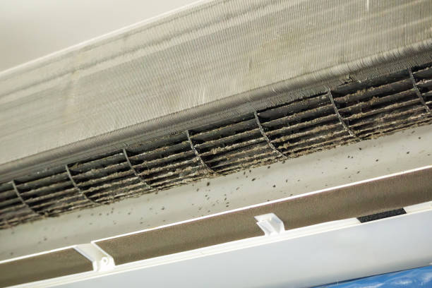 Best Air Duct Cleaning Near Me  in Woodcrest, CA